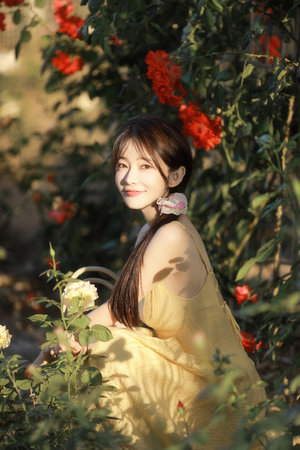 日本理论日本电影详情介绍